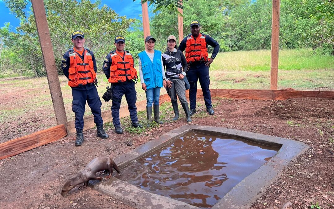 “Pepe” rescatado con la ayuda de todos, muy pronto retornará a su hábitat natural