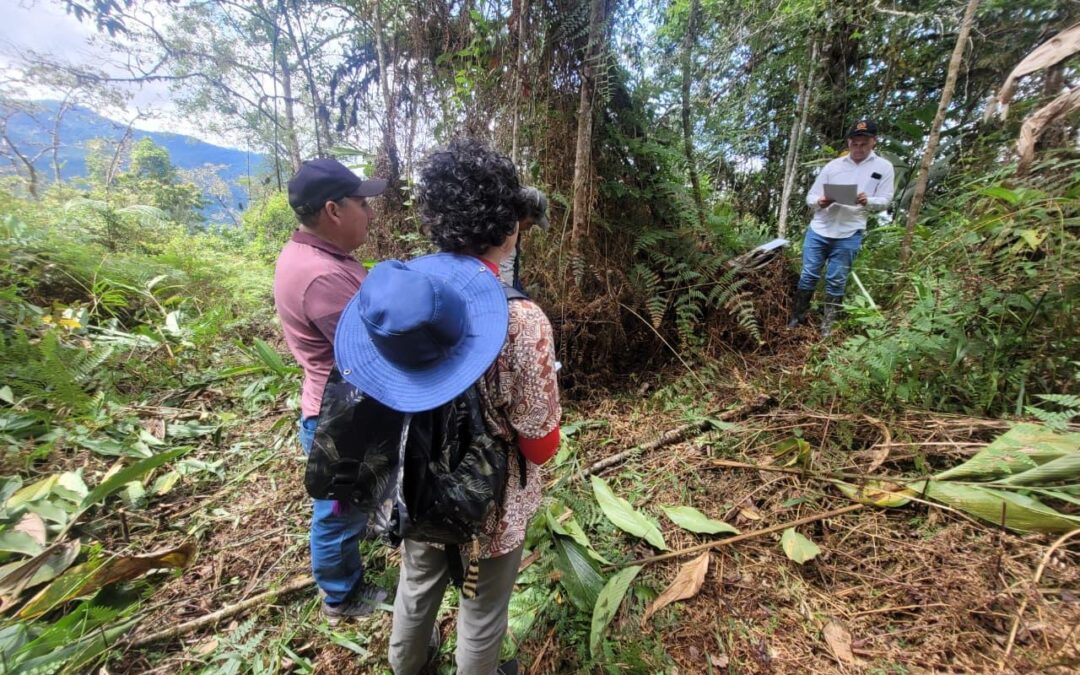 URT Bogotá restituye 70 hectáreas a víctima de abandono forzado en Chámeza (Casanare)